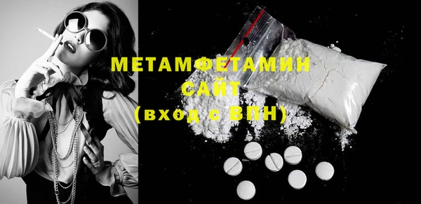 шишки Белокуриха