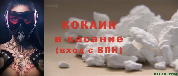шишки Белокуриха