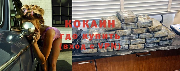 шишки Белокуриха