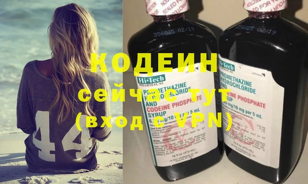 шишки Белокуриха