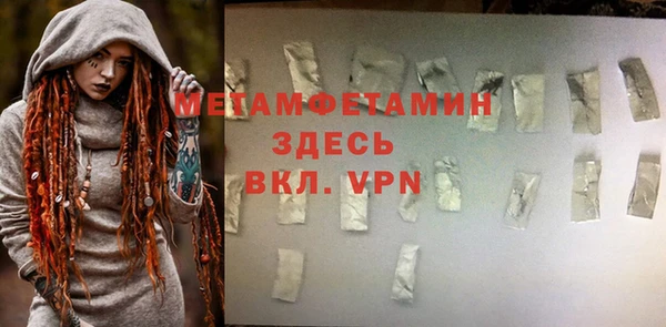 шишки Белокуриха