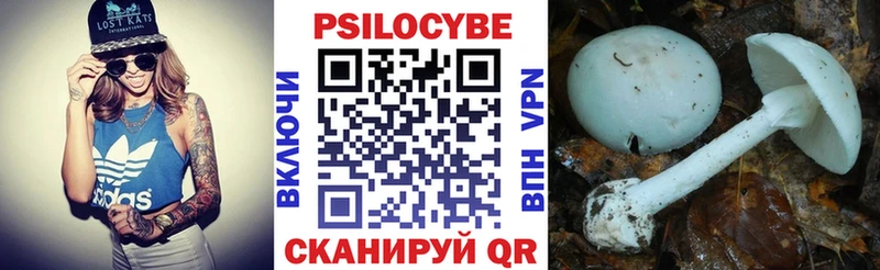 купить наркотик Верхотурье Галлюциногенные грибы GOLDEN TEACHER